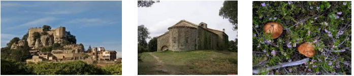 Ermita de Sant Sadurní i el Castell de Gallifa